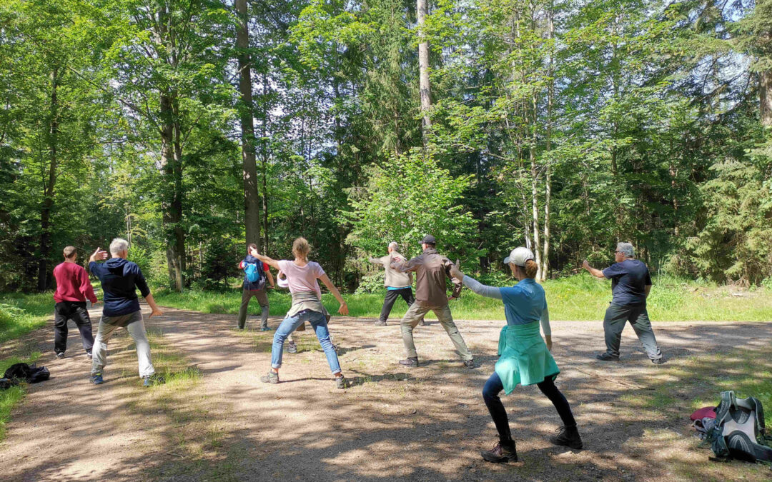 Zusatzwoche – VI. TaiJi Quan Grundausbildung