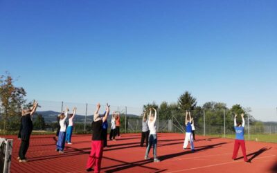 QiGong Woche mit verschiedenen Formen (siehe Programm)