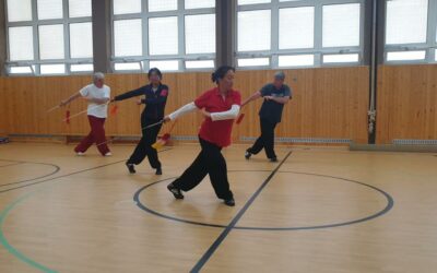 TaiJi Quan – Fortbildung