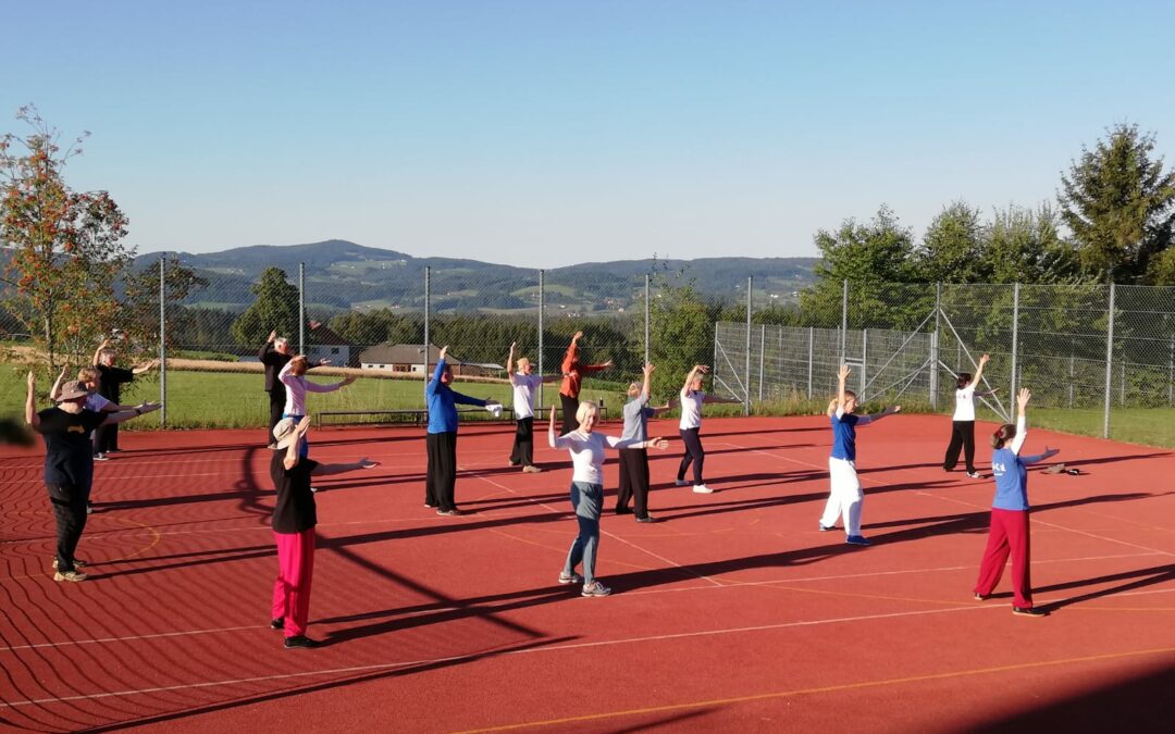 QiGong Woche (Wiederholung der Formen aus der Grundausbildung)