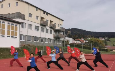 Intensiv Qian Long Fächer und TaiJi Quan 24 (für Anfänger geeignet)