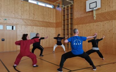 QiGong Woche (für Anfänger/Einsteiger geeignet)