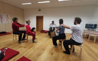 Intensiv TuiNaAnMo Lehrwoche mit QiGong