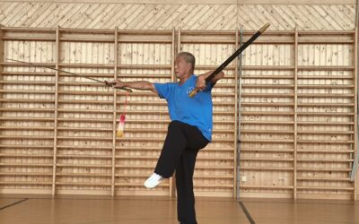 Drachen & Phönix Schwert