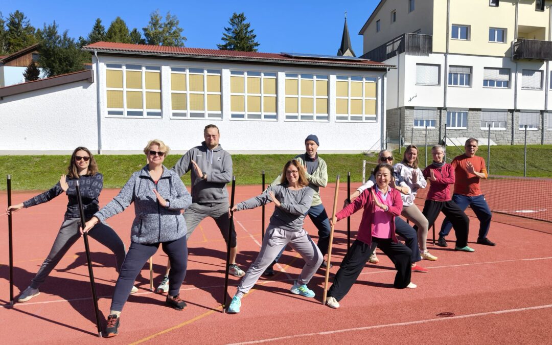 TaiJi Stock „Blauer Drache“ und TaiJi Quan 24 Figuren