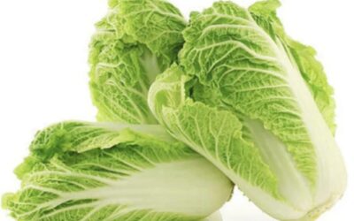 Wintergemüse – Chinakohl