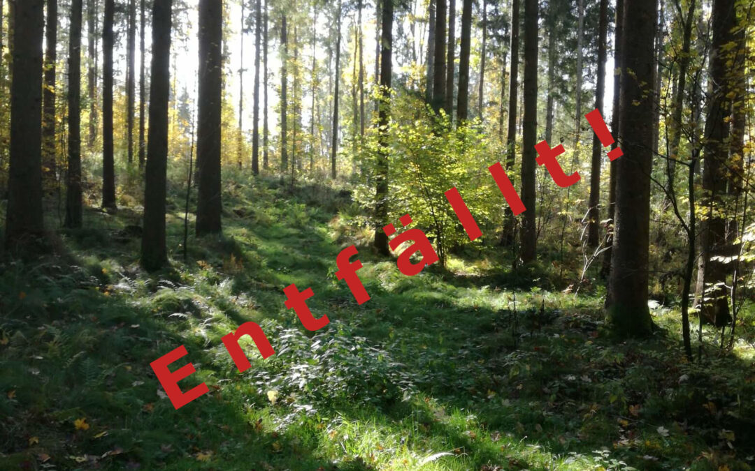 Aufbau und Stärkung des Immunsystems mit QiGong