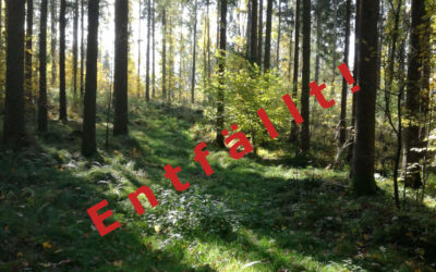 Aufbau und Stärkung des Immunsystems mit QiGong