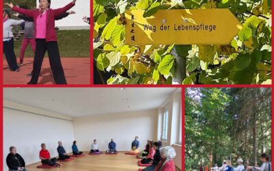 QiGong – TaiJiQuan 24 Figuren – Meditation