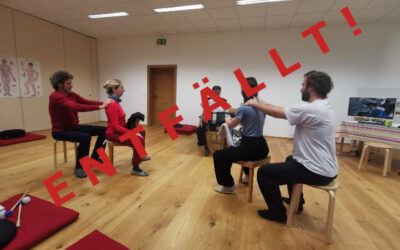 Intensiv TuiNaAnMo Lehrwoche mit QiGong