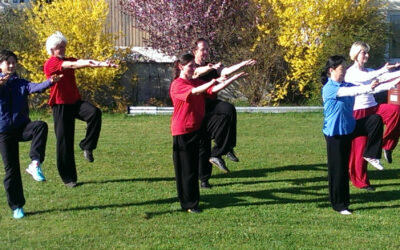 QiGong Woche mit Herz QiGong