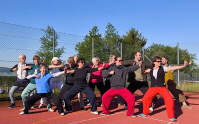 QiGong Woche mit den Acht Brokaten