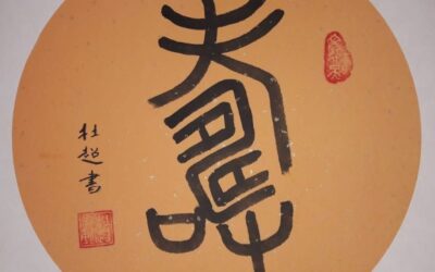 „Qi“ – die Lebensenergie/Lebenskraft